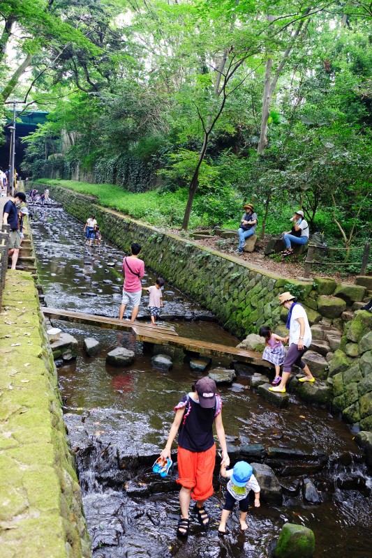 夏の等々力渓谷の川の中で遊ぶ子ども連れの家族たち