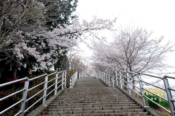 新倉山浅間公園　階段