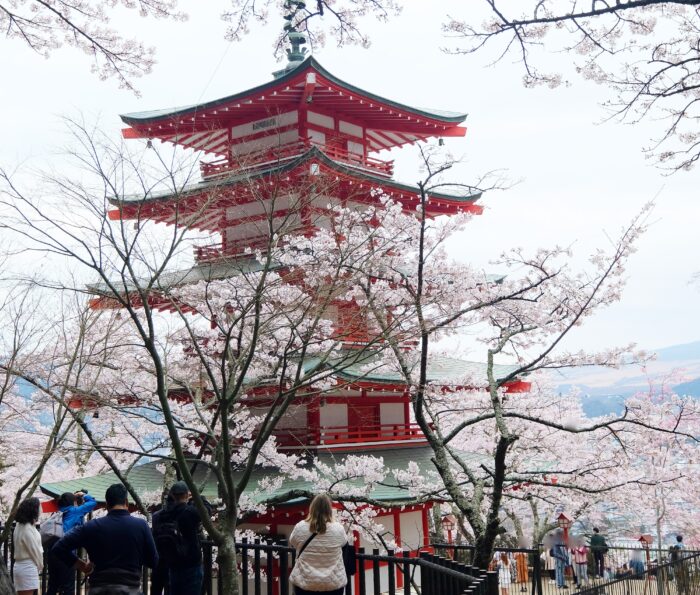 新倉山浅間公園　五重塔