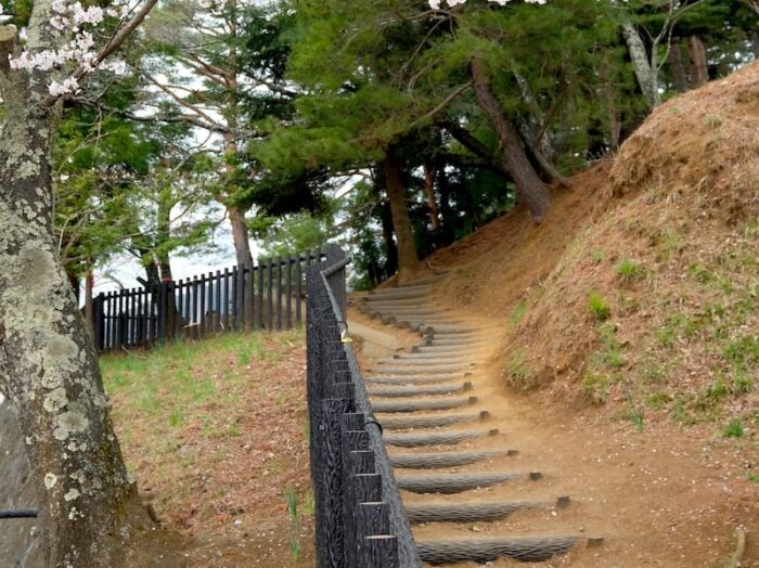 新倉山浅間公園　五重塔と富士山の撮影スポットへ続く道