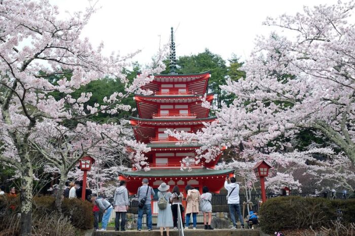 新倉山浅間公園　五重塔