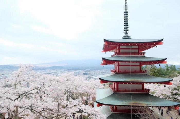 新倉山浅間公園　五重塔　富士山　桜